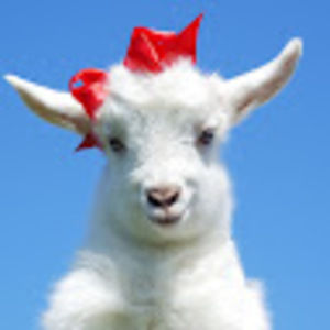 Meet your Posher, Sara grace